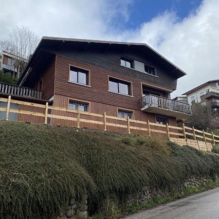 Chalet Les Trois Vallees Villa La Bresse Bagian luar foto